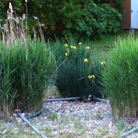 Appartement Neuf & Ecologique A La Campagne Marzens Eksteriør billede