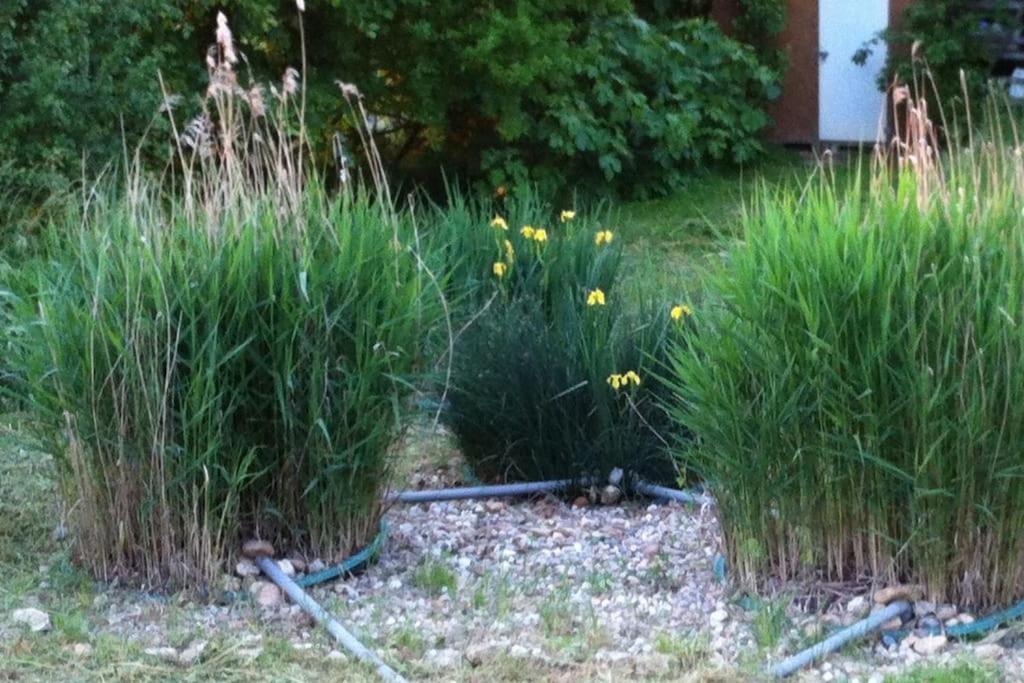 Appartement Neuf & Ecologique A La Campagne Marzens Eksteriør billede